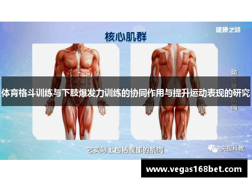 体育格斗训练与下肢爆发力训练的协同作用与提升运动表现的研究