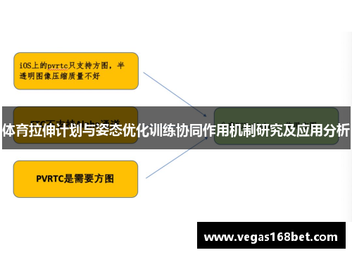 体育拉伸计划与姿态优化训练协同作用机制研究及应用分析